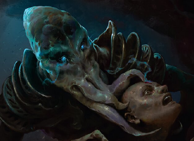 Grazilaxx, Studioso Illithid