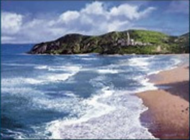Insel