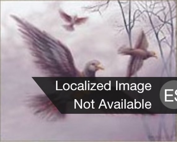 Palomas mensajeras