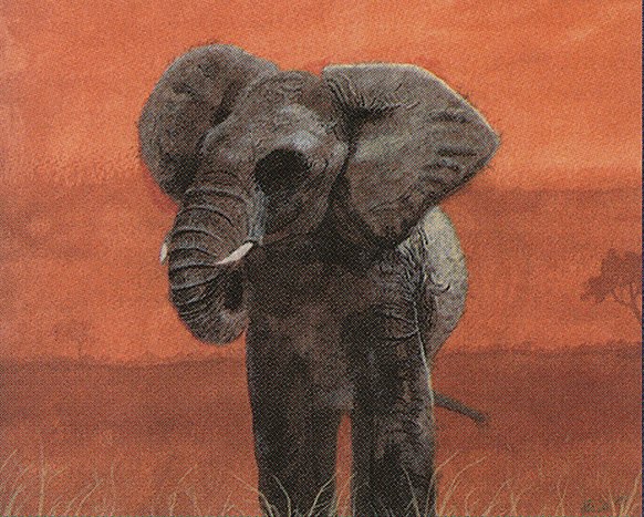 War Elephant
