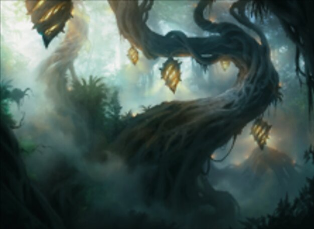 Wald