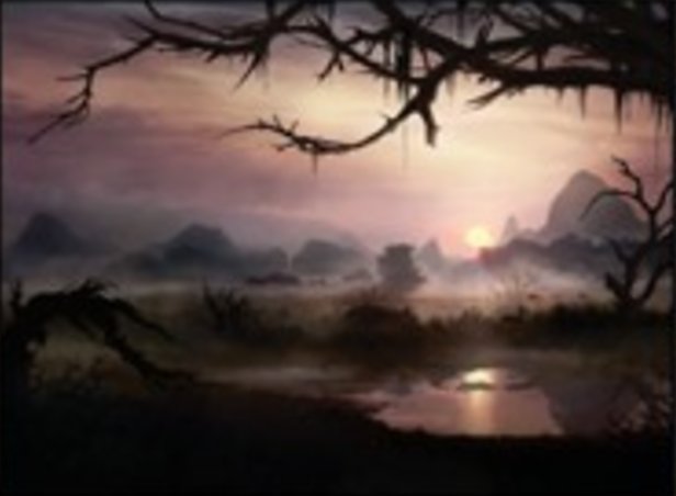 沼