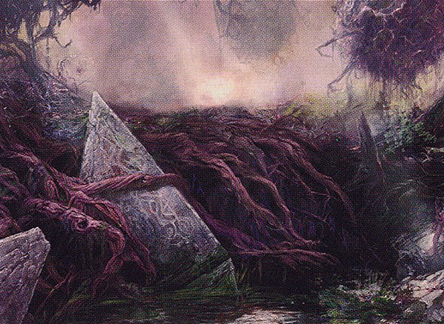 Swamp