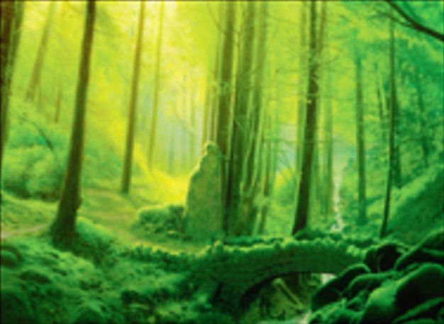 Floresta