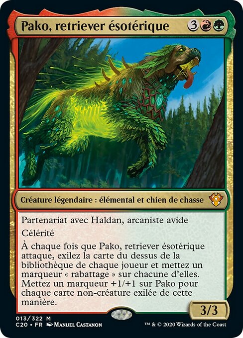 Pako, retriever ésotérique