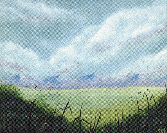 Plains