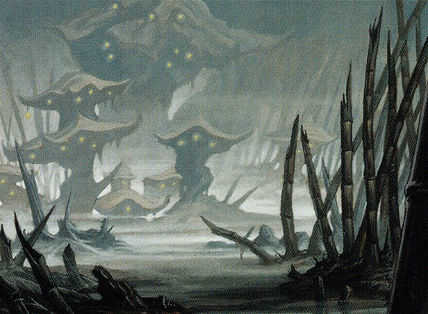 Swamp