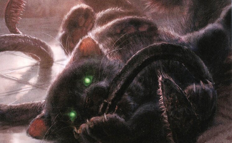 Displacer Kitten