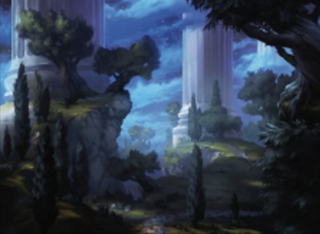 Forest