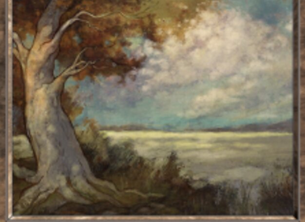 Plains