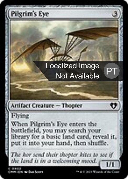 Pilgrim's Eye