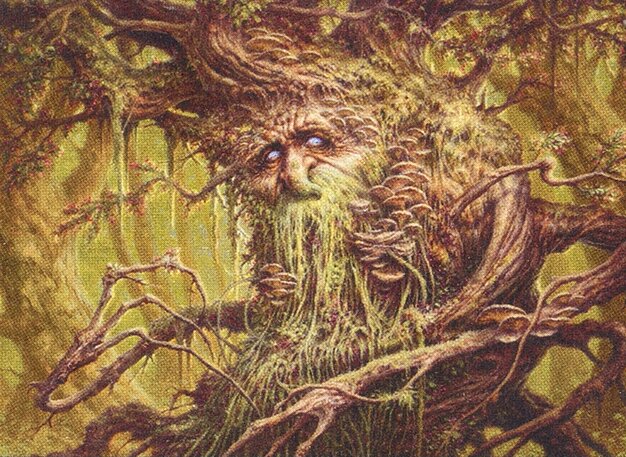 Colfenor, the Last Yew
