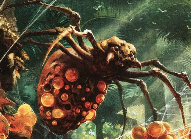 Sweet-Gum Recluse