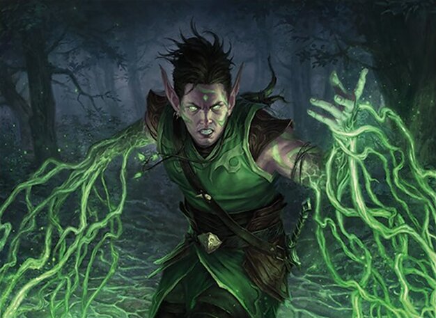 Druide tisseracines