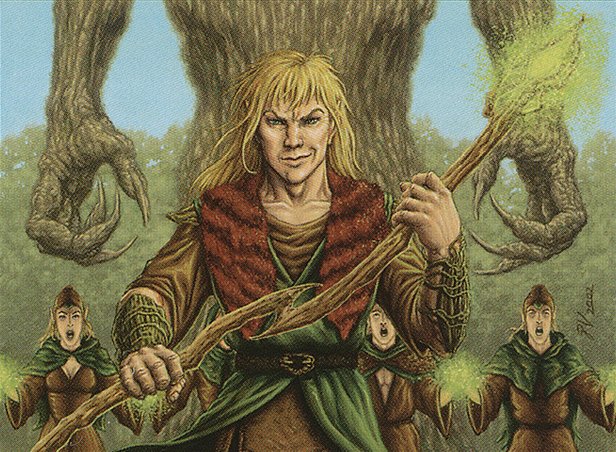 Voice of the Woods