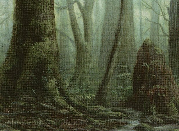 Forest