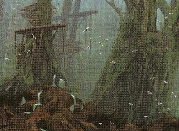 Forest