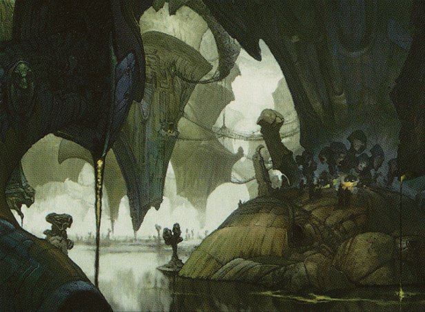 Swamp