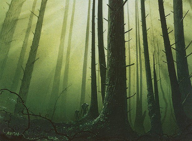 Forest
