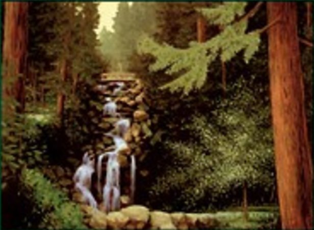 Bosque
