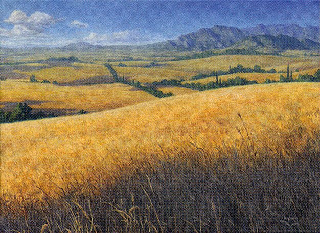 Plains