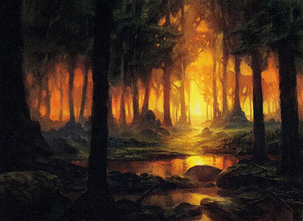 Forest