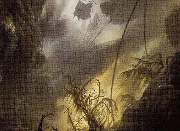 Swamp