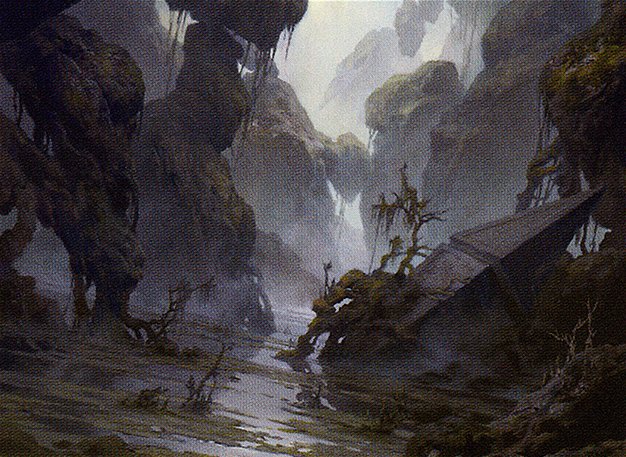 Swamp