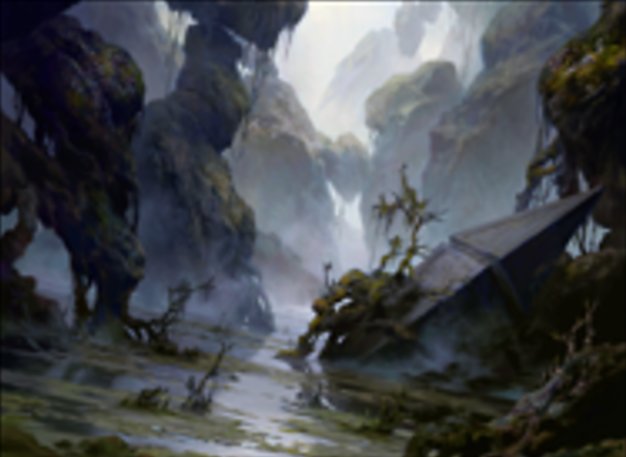 沼