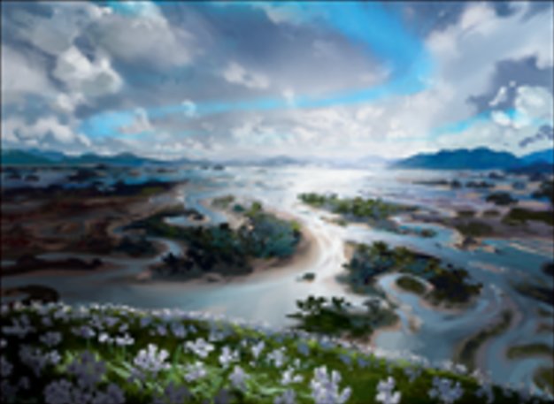 島