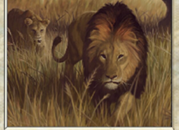 Savannenlöwen
