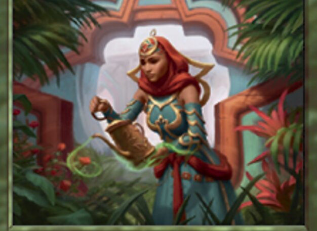 Seher aus dem Fa'adiyah