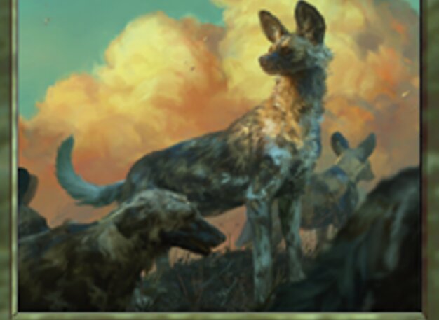 Wildhunde