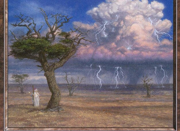 Plains