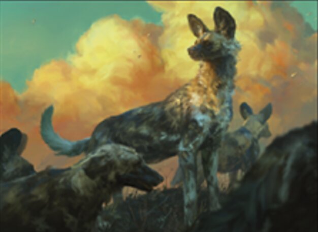 Perros salvajes