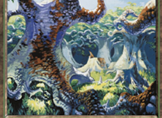 Foresta