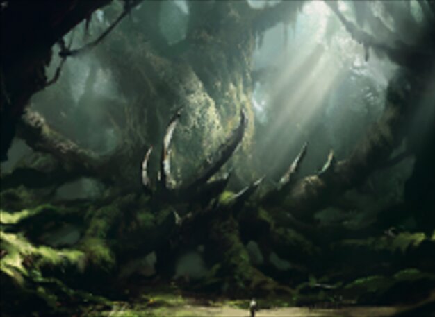 Wald