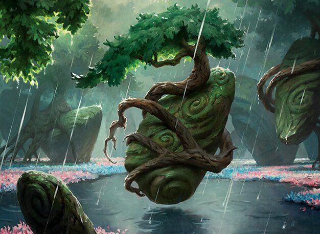 雨濡れの低木林