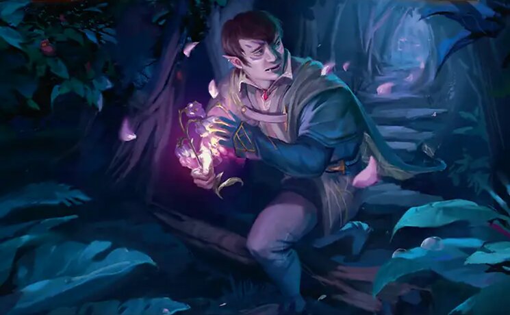 Kirol, Attentive First-Year