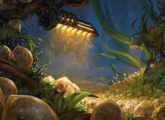 Eumidian Hatchery