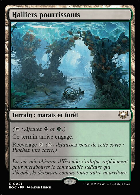 Halliers pourrissants