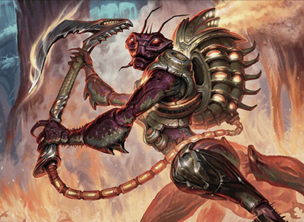 Rasebroussailles d'Évendo