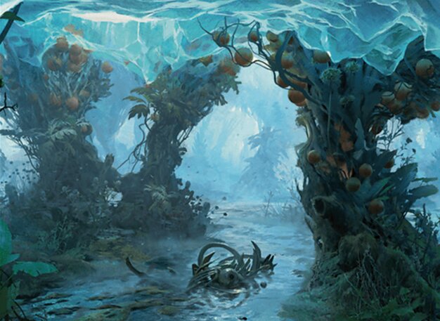 ただれた茂（しげ）み