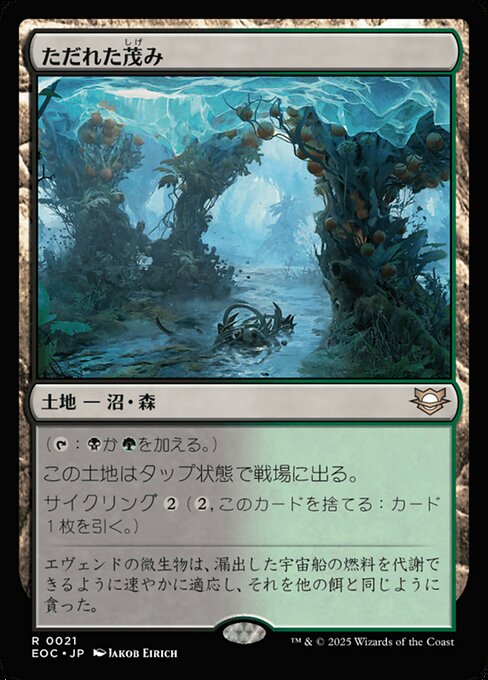 ただれた茂（しげ）み