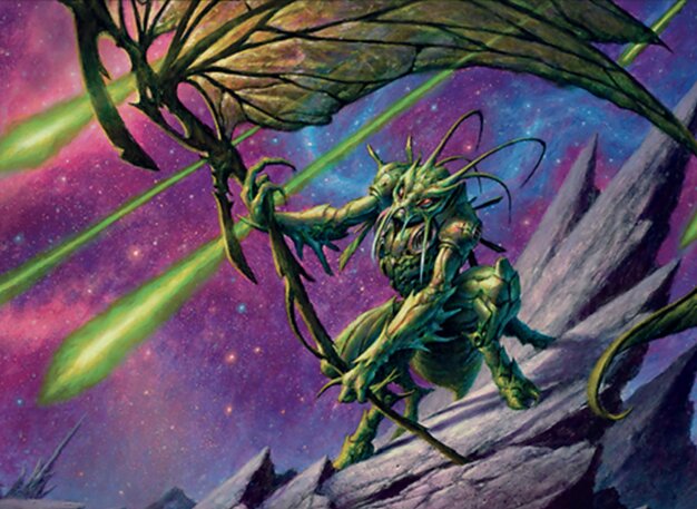 水（すい）平（へい）線（せん）の探（たん）検（けん）家（か）