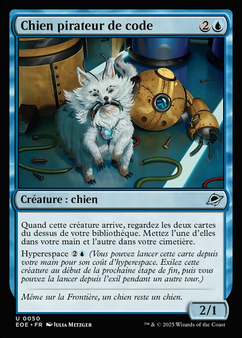 Chien pirateur de code