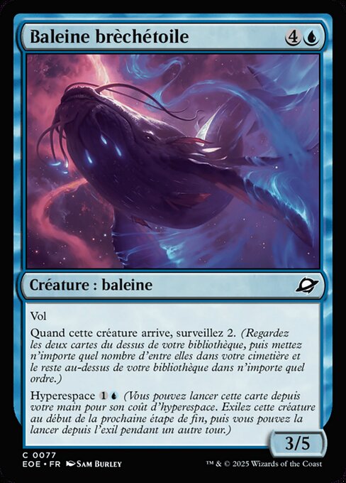 Baleine brèchétoile