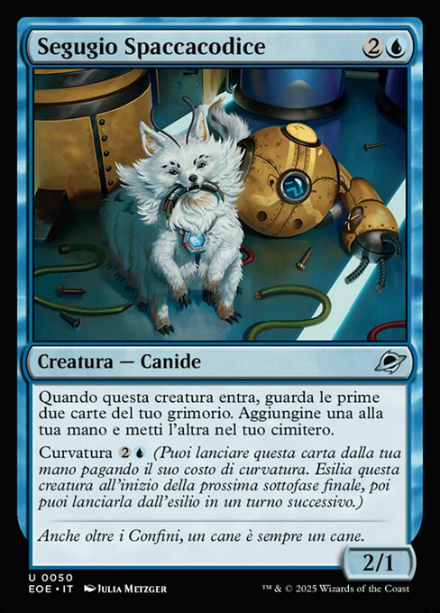 Segugio Spaccacodice