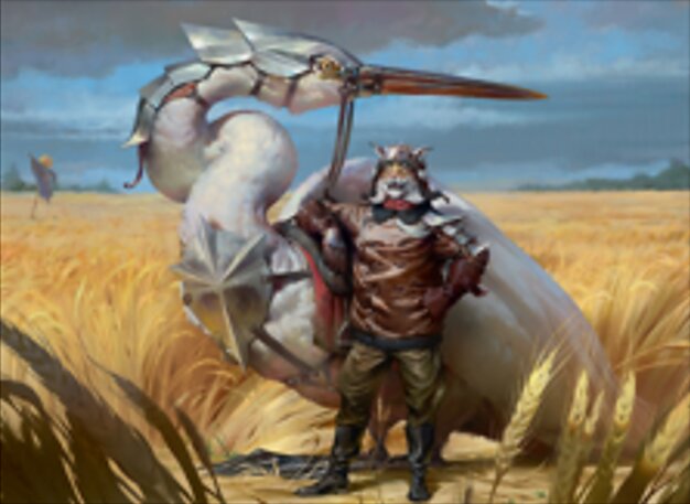 Scudiero Cavaliere dei Cieli