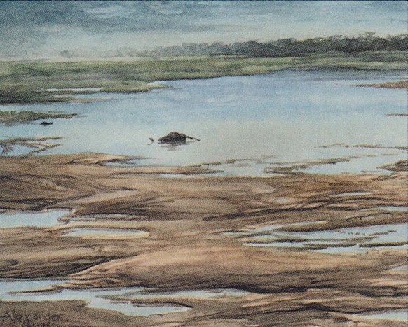 Tidal Flats